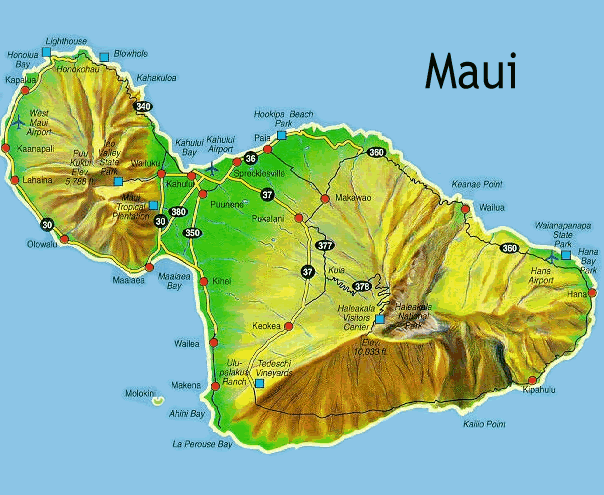 Мауи